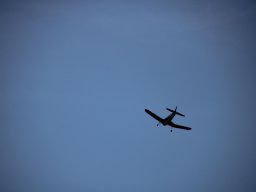 fliegen0803 26